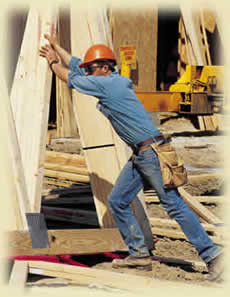 Commercial Building  Services